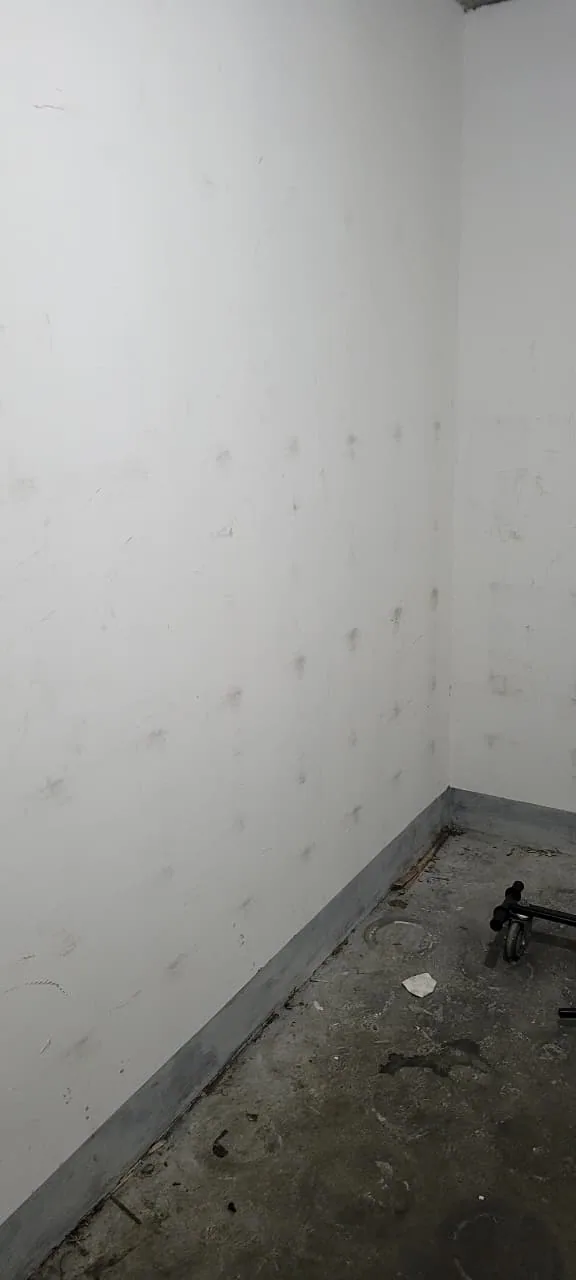 Pintura de muros antes