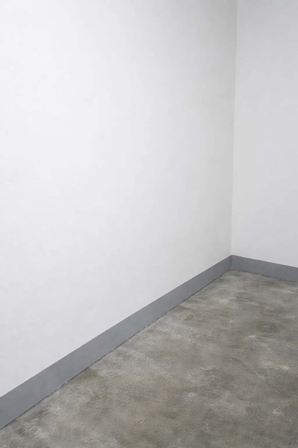 Pintura de muros después