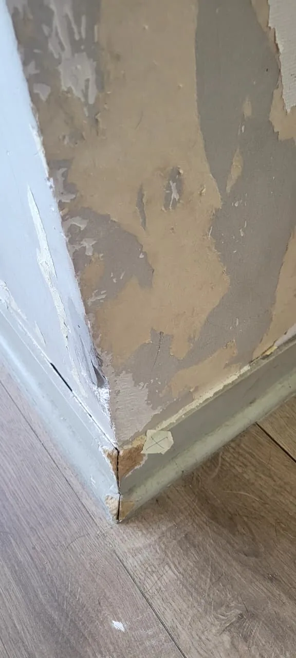 Empastado y reparación de muros antes