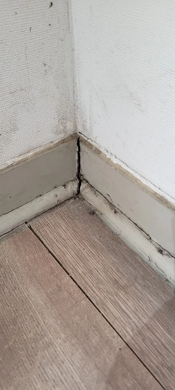 Pintura de guardapolvos antes